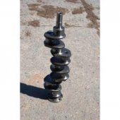 Arbore motor cuzinet Turcia 103.03.010
