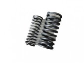 Arcuri supape admisie-evacuare set 103.02.119/120 U650